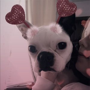 Meet your Posher, April